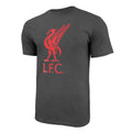 Liverpool FC Liverbird Logo T-Shirt - Black by Icon Sports