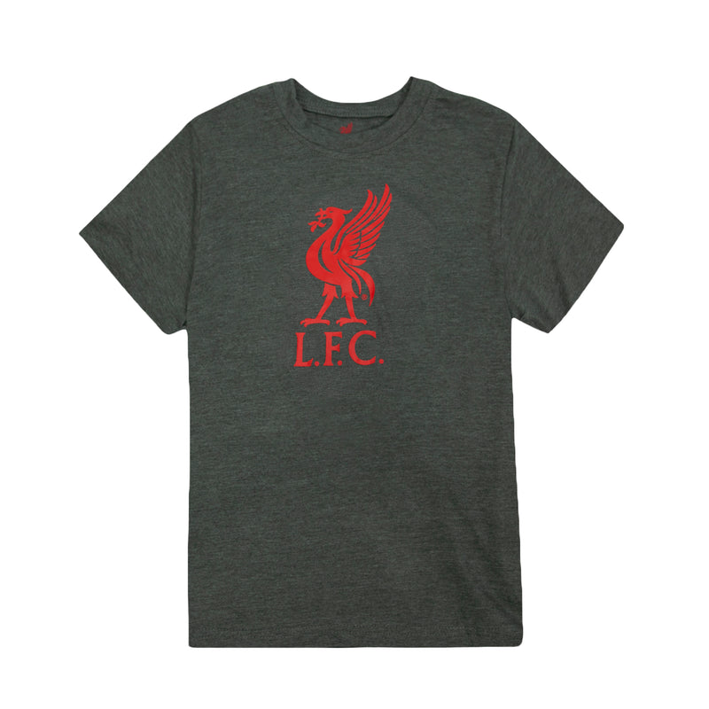 Liverpool FC Liverbird Logo Youth T-Shirt - Black by Icon Sports