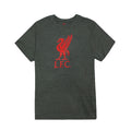 Liverpool FC Liverbird Logo Youth T-Shirt - Red by Icon Sports