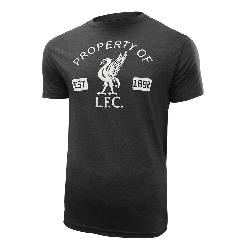 Liverpool FC Distressed Logo T-Shirt - Heather Black by Icon Sports