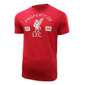 Liverpool FC "Property Of" T-Shirt - Heather Red by Icon Sports